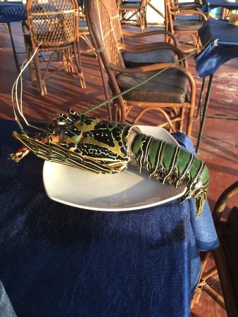 Slotomania 100 percent free Gold coins & Chips, egt entertaining slots game Revolves, Discounts Isis online slot 2025 No Slip Floor Possibilities